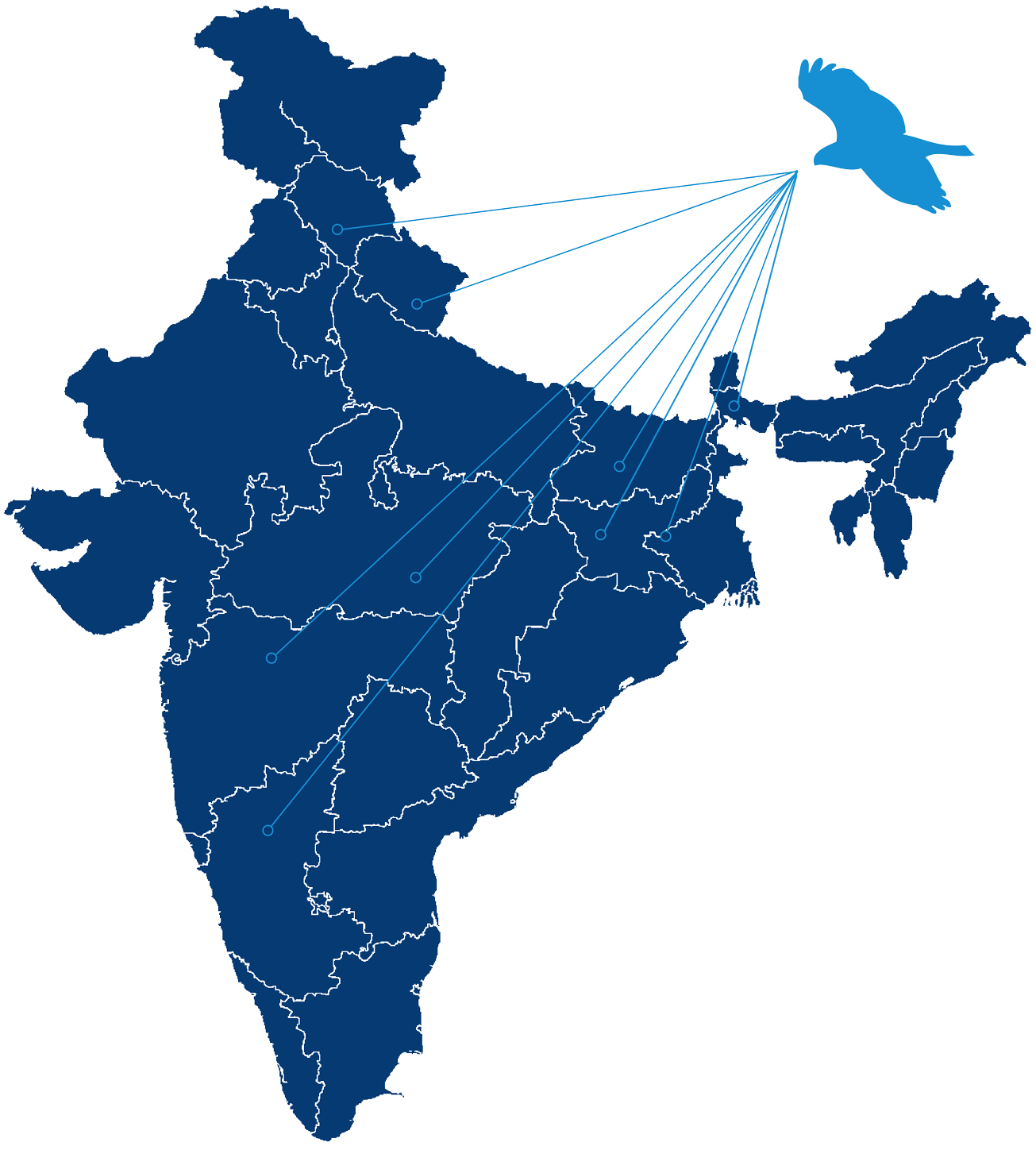 airjaldi map with bird